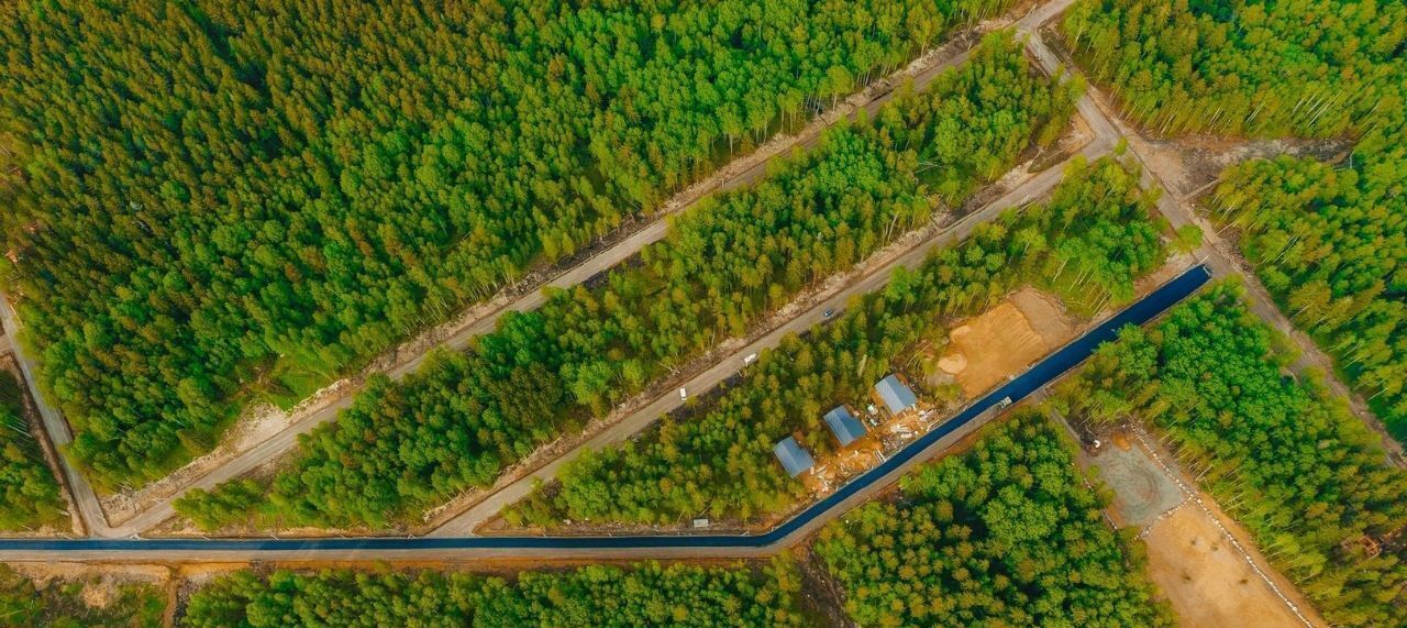 земля р-н Всеволожский Токсовское городское поселение, Экофорест кп фото 4