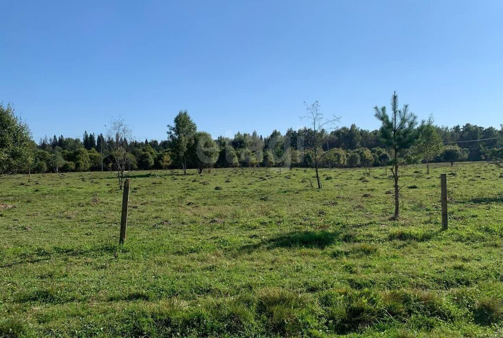 земля городской округ Щёлково д Мосальское фото 9