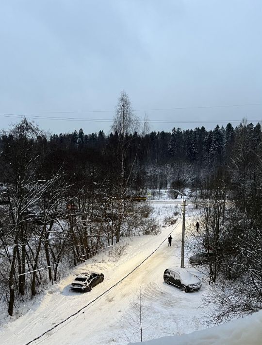 квартира г Санкт-Петербург п Парголово метро Парнас Парнасная ул., 5к 2 фото 10