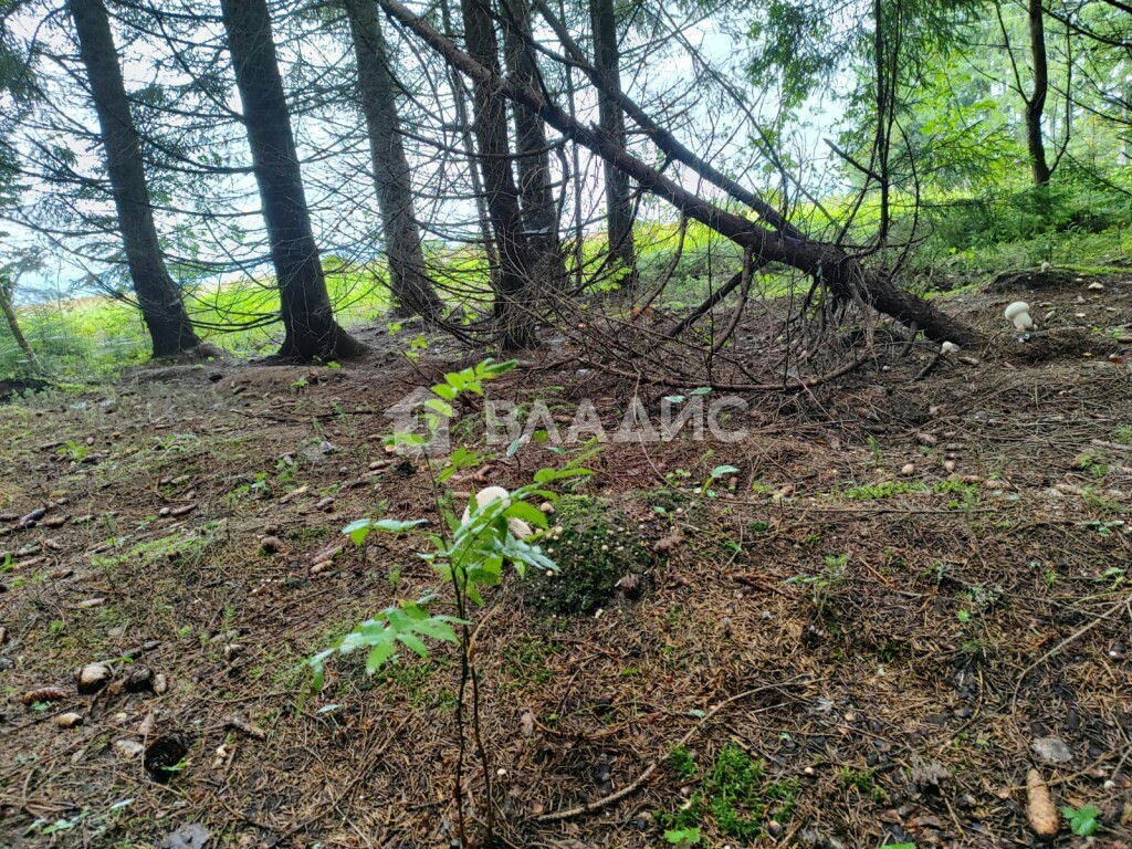 земля городской округ Истра д Хованское фото 6