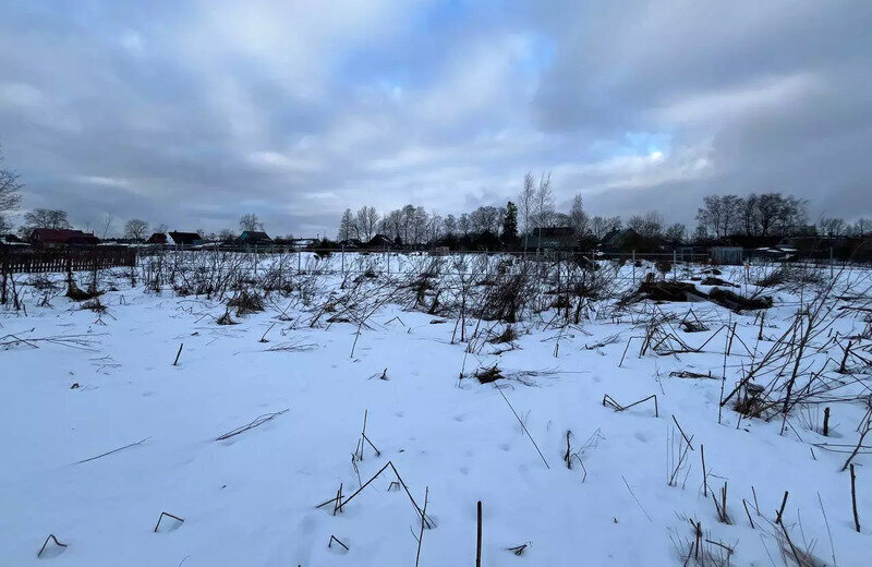 дом р-н Волосовский д Торосово 25 фото 23