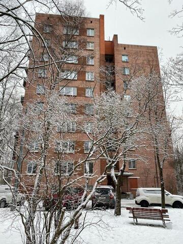 наб Реки Сестры 5 р-н Курортный Ленинградская область фото