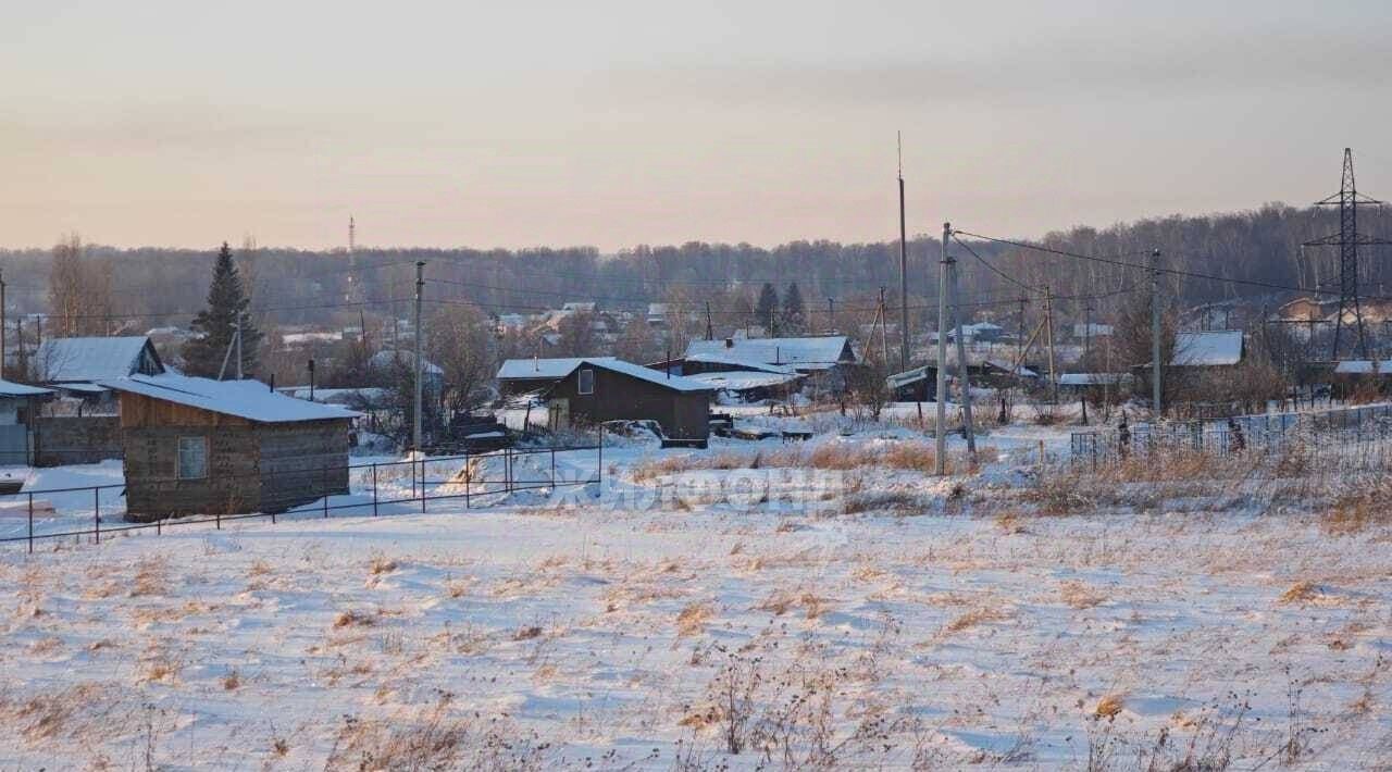 земля р-н Тогучинский д Шмаково ул Ясная Репьевский сельсовет фото 2