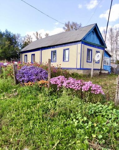 д Новофедоровка Сатыевский сельсовет, Киргиз-Мияки фото