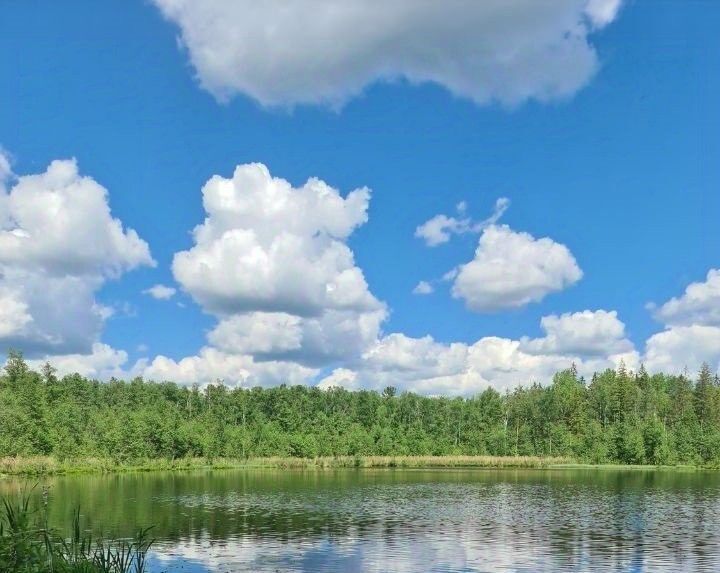 дом р-н Лужский п Осьмино Осьминское сельское поселение фото 23