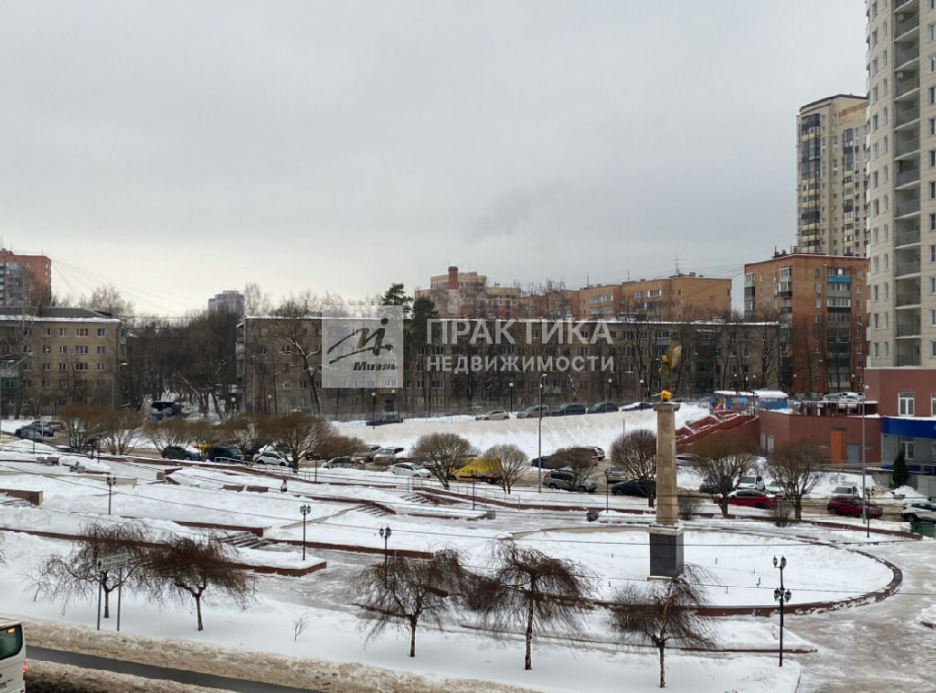 квартира г Пушкино ул Чехова 1к/2 фото 37