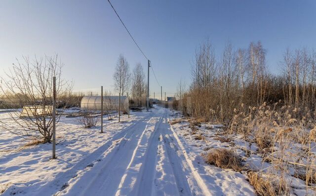 снт Светлое фото