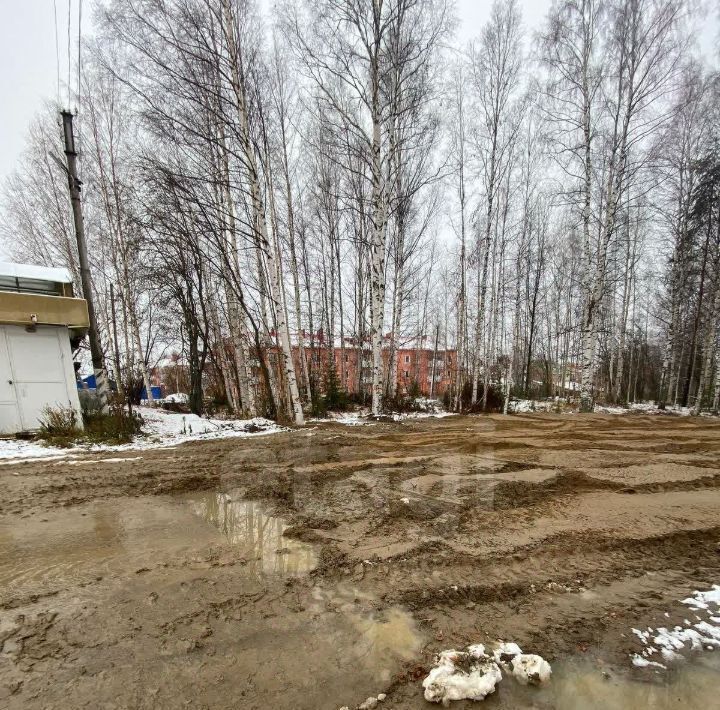 торговое помещение р-н Октябрьский пгт Андра мкр Западный 26а/1 фото 6