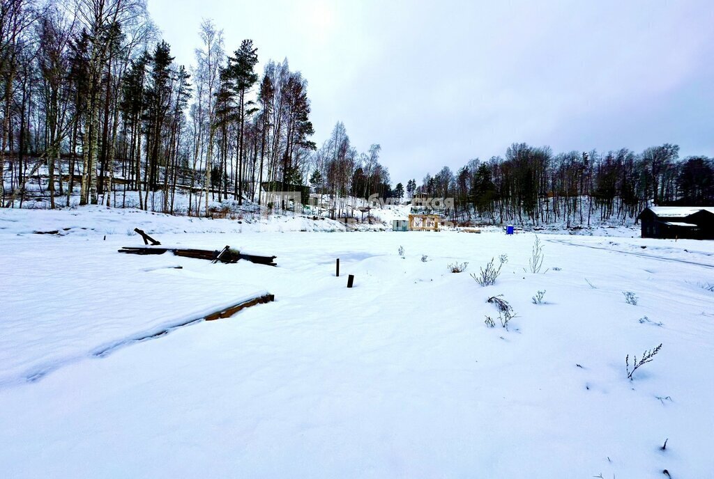 земля р-н Всеволожский д Коркино Колтушское городское поселение фото 4