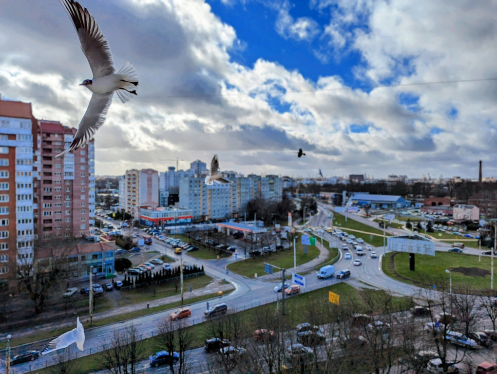 квартира г Калининград р-н Ленинградский фото 13