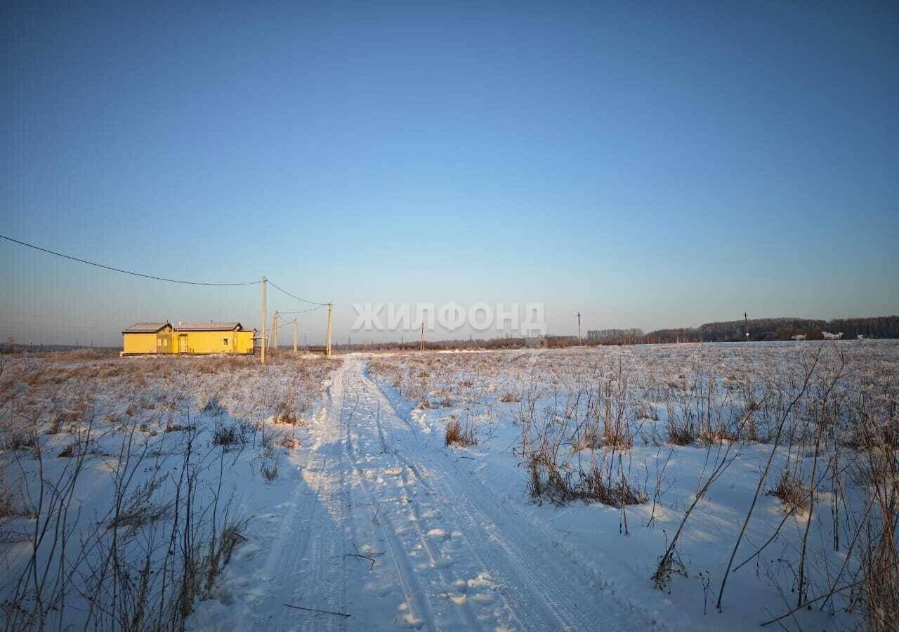 земля р-н Тогучинский д Шмаково ул Ясная Репьевский сельсовет, Кольцово фото 10