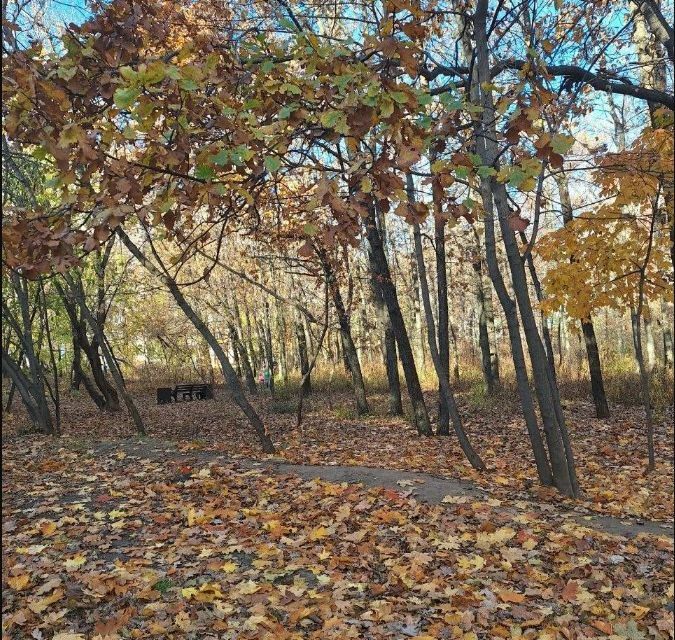 квартира г Воронеж р-н Коминтерновский пр-кт Московский 94 городской округ Воронеж фото 4