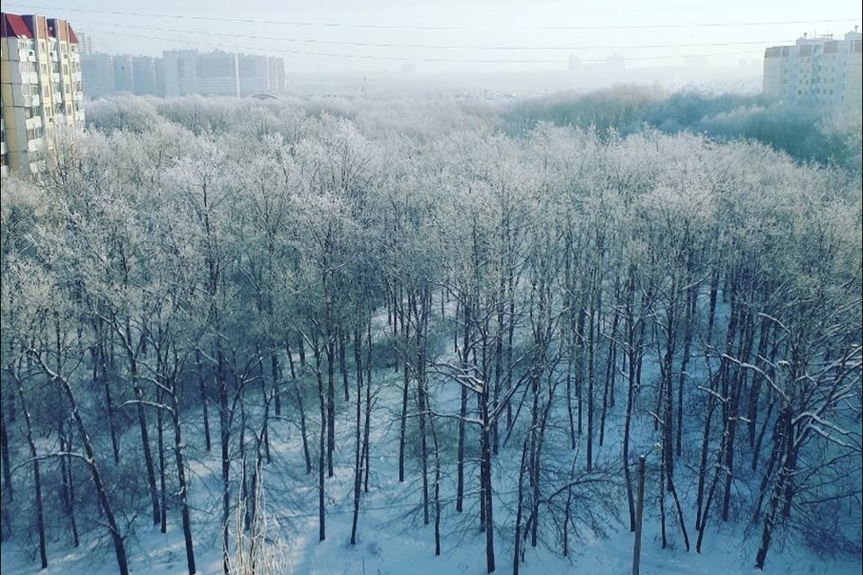 квартира г Воронеж р-н Коминтерновский пр-кт Московский 94 городской округ Воронеж фото 2