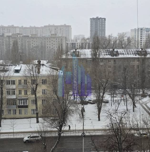 квартира г Воронеж р-н Советский городской округ Воронеж, Лётчика Колесниченко, 44 фото 10