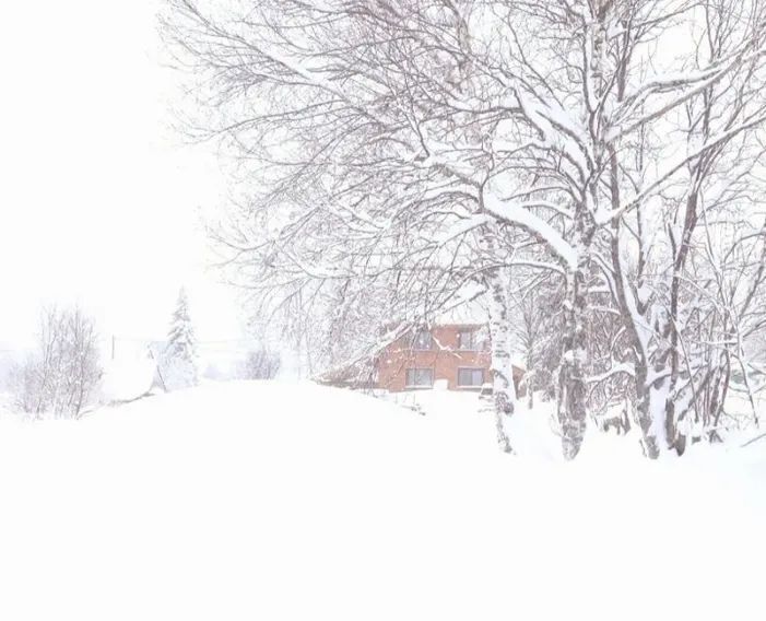 дом р-н Таштагольский пгт Шерегеш Шерегешское городское поселение, Шерегешевец СНТ, ул. 1-я Дачная, 16 фото 3