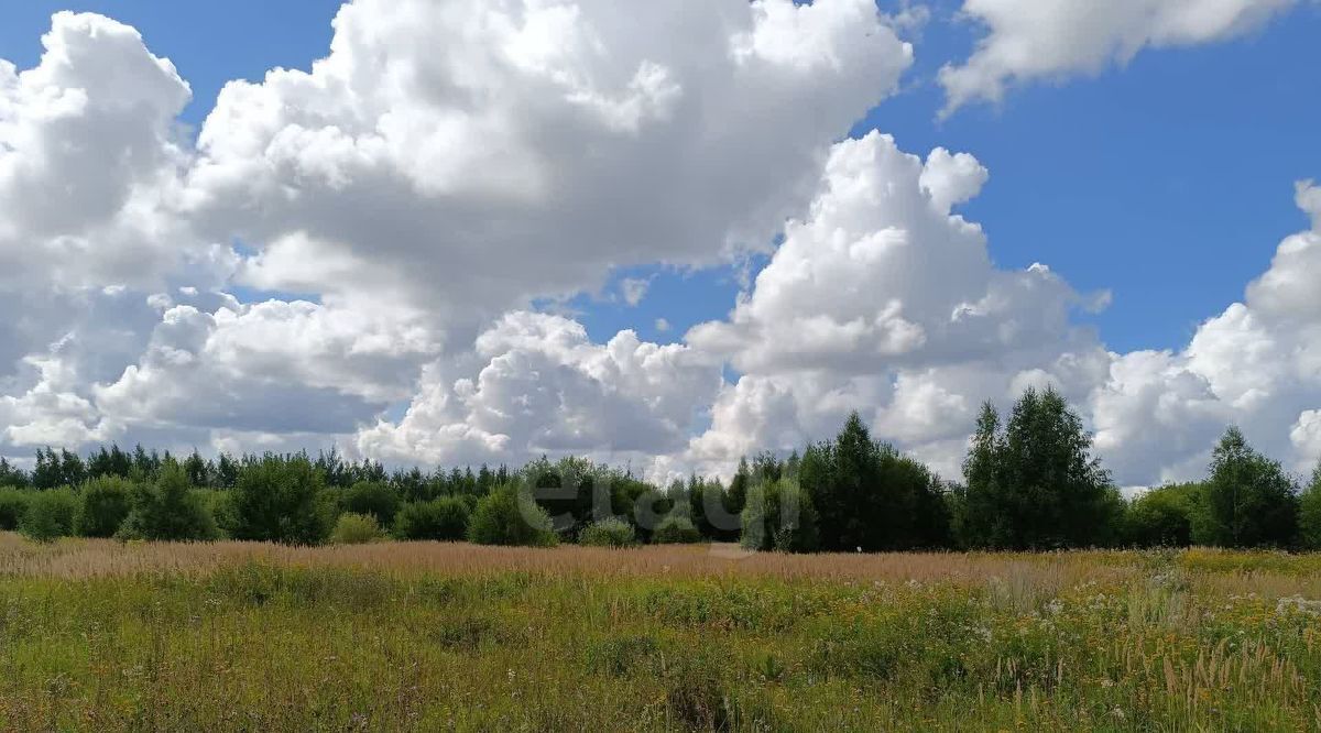 земля г Владимир р-н Октябрьский ул Новгородская фото 2