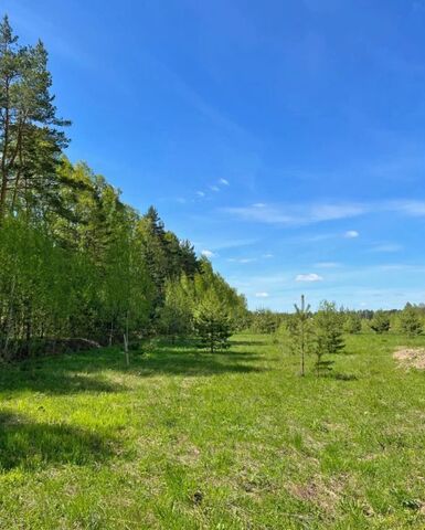 29 км, коттеджный пос. Орлово Лайф, Красноармейск, Фряновское шоссе фото