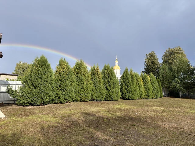 дом ул Арзамасская 36 фото