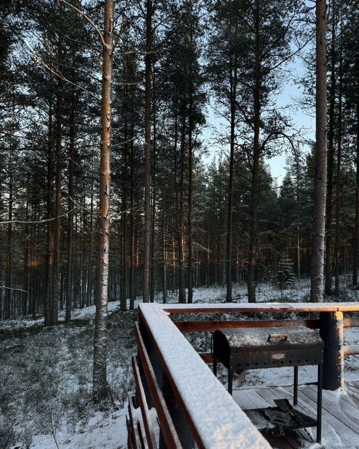 дом р-н Сегежский г Сегежа посёлок Линдозерский фото 10