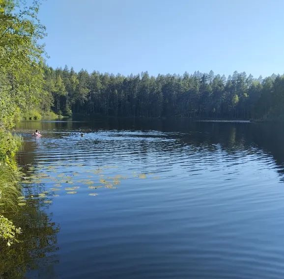 дом Лужское городское поселение, пос. Санаторий Жемчужина, ул. 2-я Жемчужная, 14 фото 3