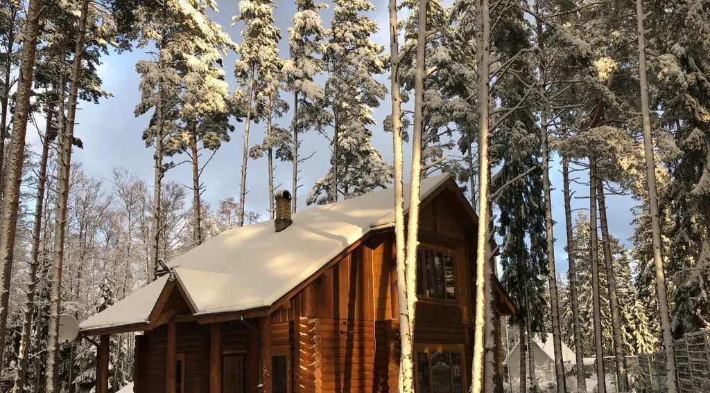 дом р-н Ломоносовский д Шепелево ул Луговая 26 Лебяженское городское поселение фото 3