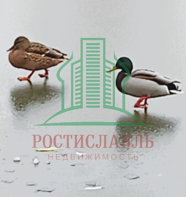 квартира г Озёры ул Челнок 14а Коломна городской округ фото 9