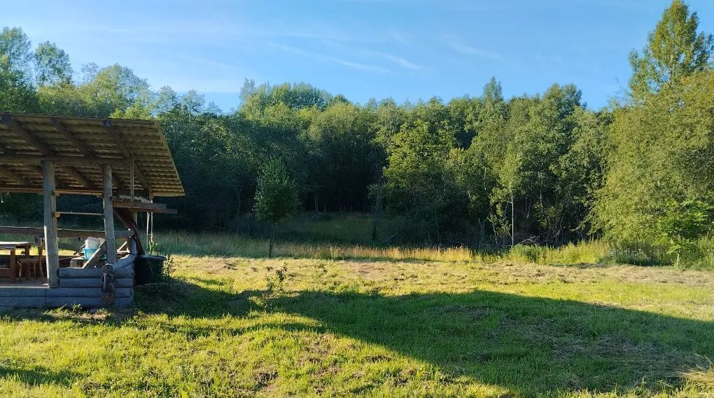 дом Лужское городское поселение, пос. Санаторий Жемчужина, ул. 2-я Жемчужная, 14 фото 8