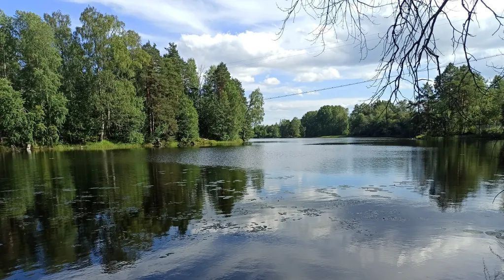 дом р-н Приозерский п Мельниково ул Садовая 8а Мельниковское с/пос фото 9