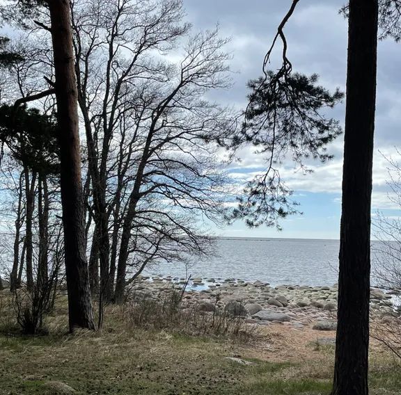 дом р-н Всеволожский д Озерки Приморское городское поселение, ш. Приморское, 125, Выборгский район фото 40