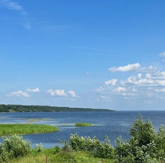 дом р-н Кашинский г Кашин д Фалево ул Луговая 5 фото 15