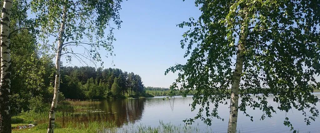 дом городской округ Солнечногорск д Мышецкое ул Телевизионная 13к/2 Химки городской округ фото 38