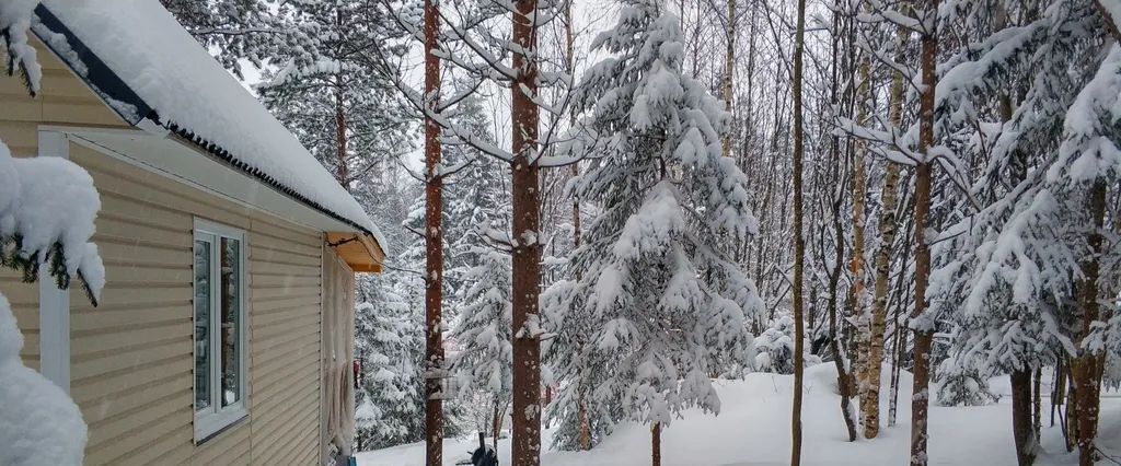 дом р-н Приозерский снт Орехово Сосновское с/пос, массив, 70, Новожилово фото 26