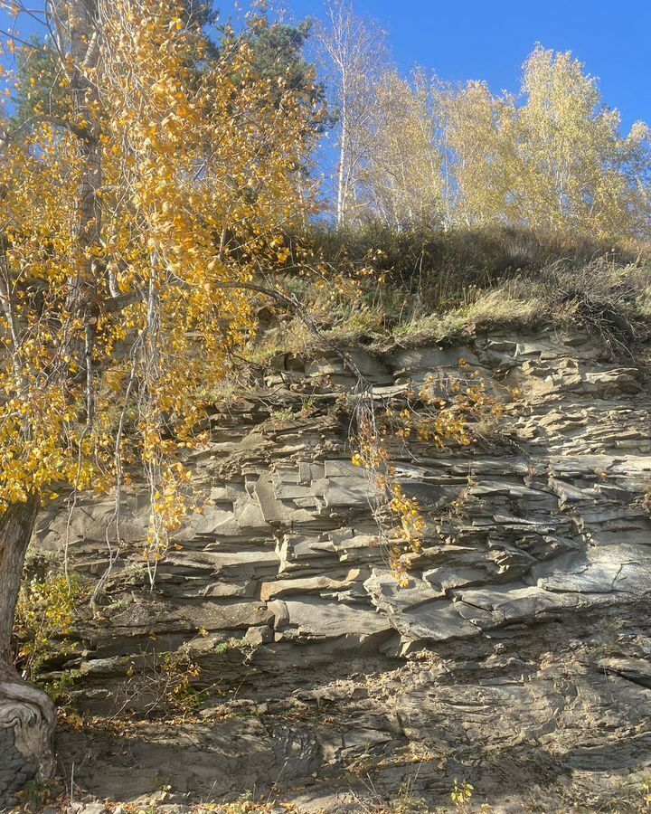 земля р-н Кемеровский Кемеровская обл. - Кузбасс, территория Городок, Кемерово фото 5