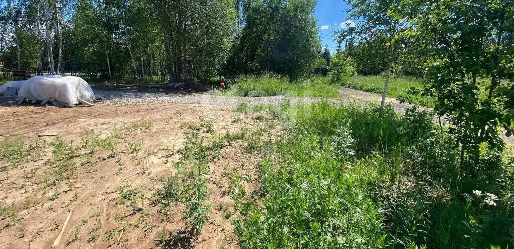 земля городской округ Мытищи д Никульское фото 4