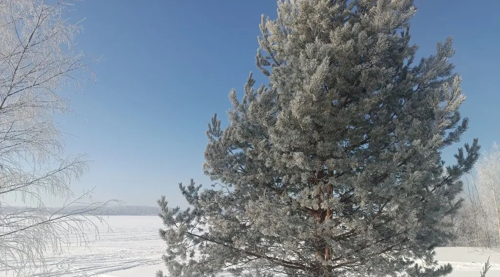 дом р-н Чкаловский д Перехваткино (Кузнецовский с/с) 16, Чкаловск городской округ фото 13