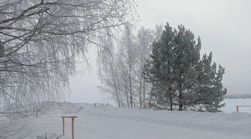 дом р-н Чкаловский д Перехваткино (Кузнецовский с/с) 16, Чкаловск городской округ фото 12