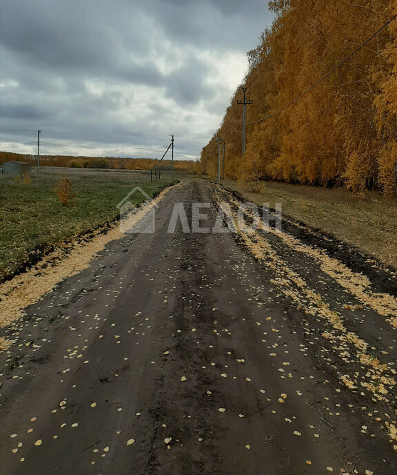 земля р-н Омский п Иртышский ул Кленовая фото 6