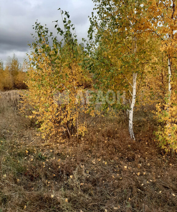 земля р-н Омский п Иртышский ул Кленовая фото 16