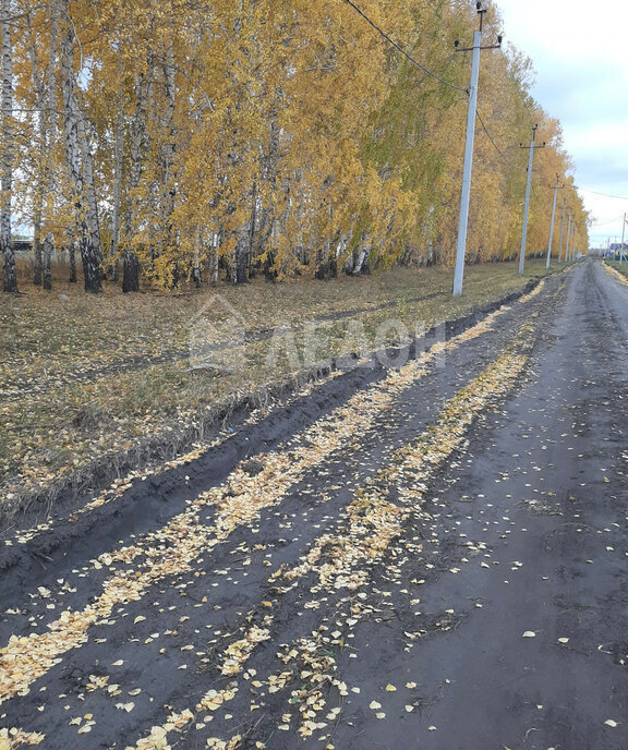 земля р-н Омский п Иртышский ул Кленовая фото 18