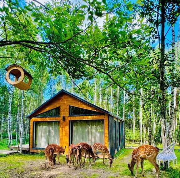 дом городской округ Волоколамский Тихая Горка садовое товарищество, 1 фото 1