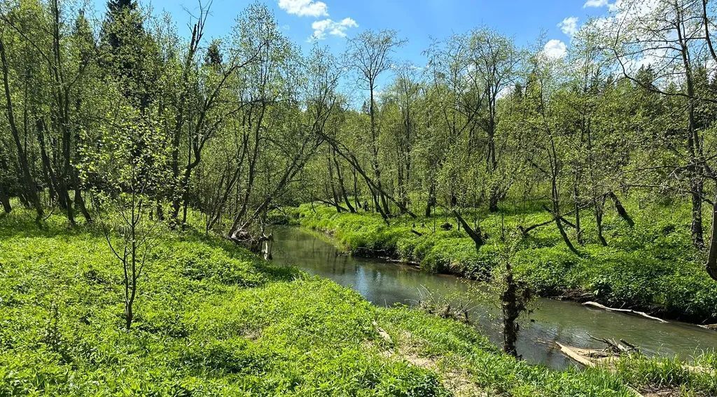 дом городской округ Дмитровский д Шадрино 210 фото 15