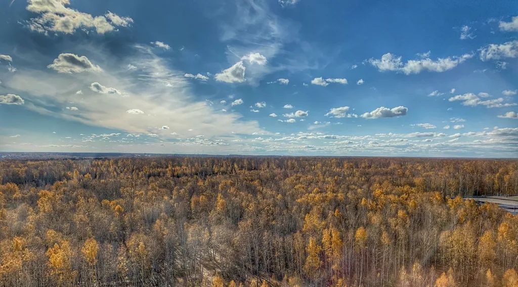 квартира г Челябинск р-н Центральный ул Академика Макеева 28 фото 8