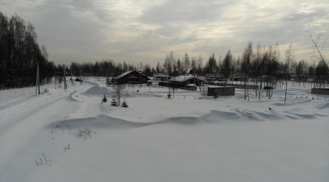 земля городской округ Дмитровский д Целеево фото 4