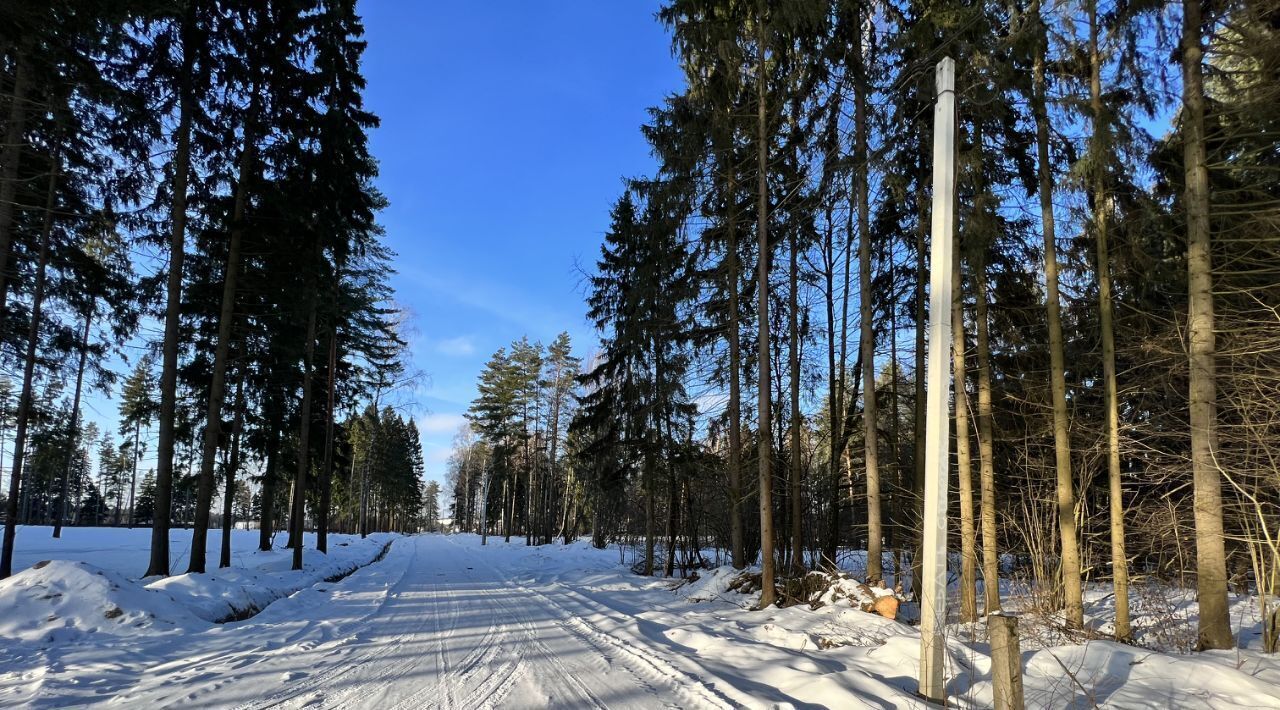 земля городской округ Одинцовский д Сурмино фото 3