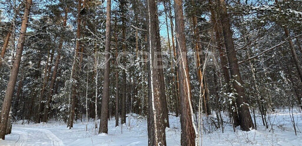 земля р-н Нижнетавдинский с Тюнево ул Южная фото 7