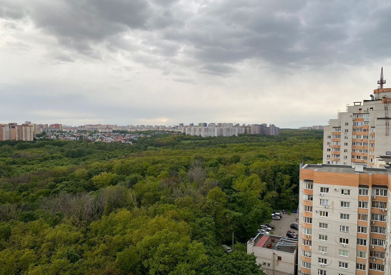 земля р-н Рамонский с Староживотинное ул Северная Айдаровское сельское поселение, Рамонь фото 1