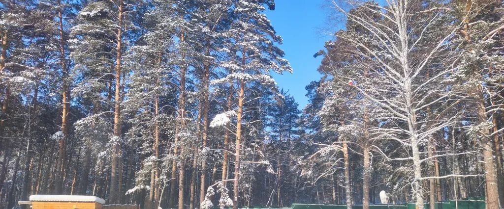 дом г Томск р-н Кировский посёлок Басандайка пер 1-й Басандайский 2а фото 23