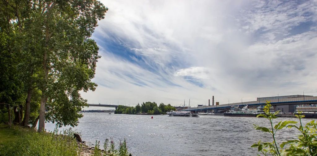 квартира г Санкт-Петербург р-н Петроградский пр-кт Петровский 24к/3 фото 2