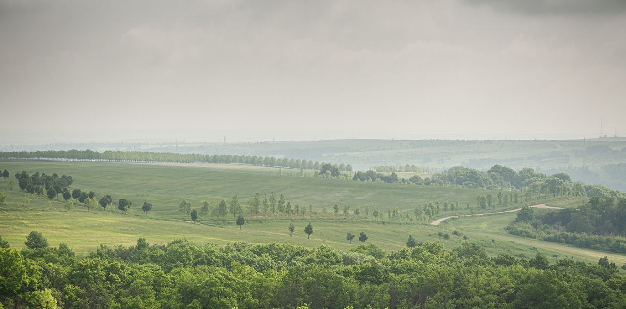 дом р-н Крымский с Молдаванское ул Степная 1б фото 11