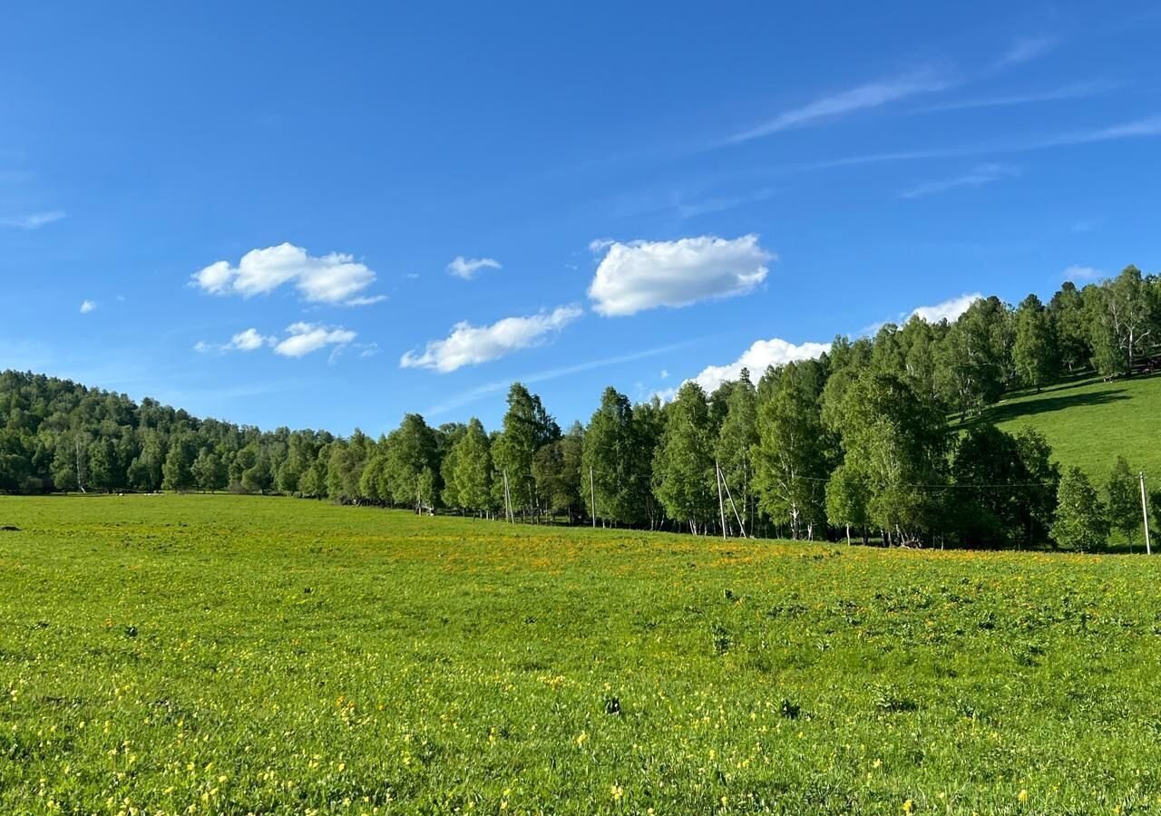 земля р-н Чемальский п Верх-Анос Горно-Алтайск фото 1